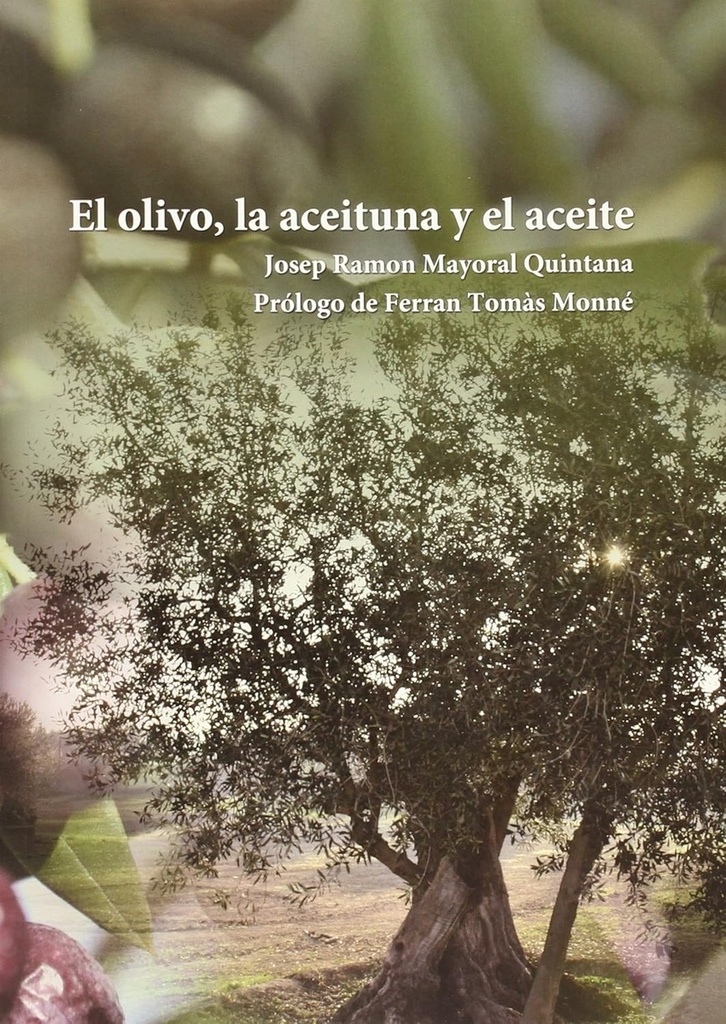 El olivo, la aceituna y el aceite