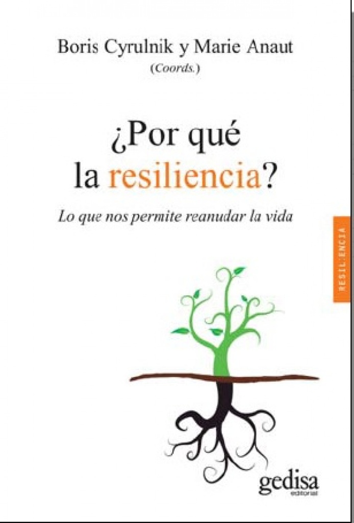 ¿Por que la resiliencia?