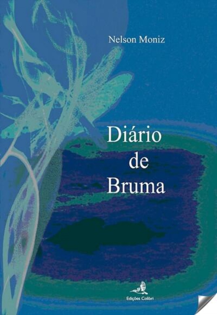 diario de bruma