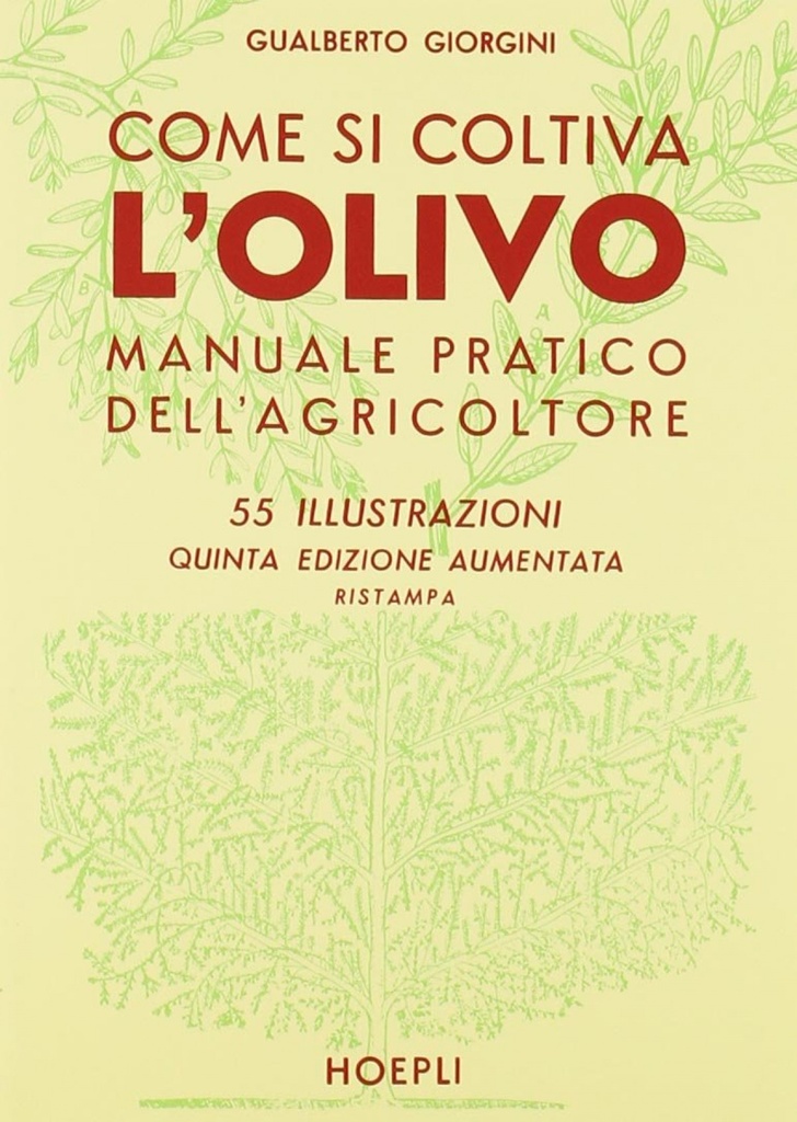 Come si coltiva l'olivo