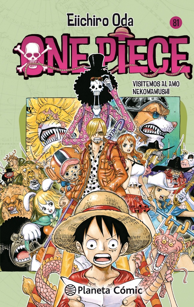 ONE PIECE 81