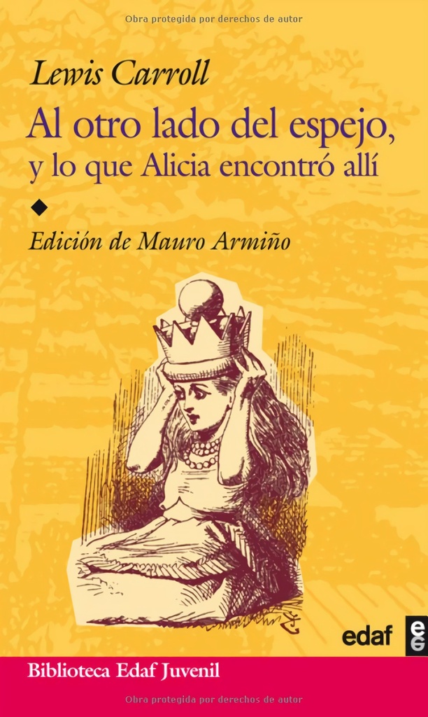 AL OTRO LADO DEL ESPEJO