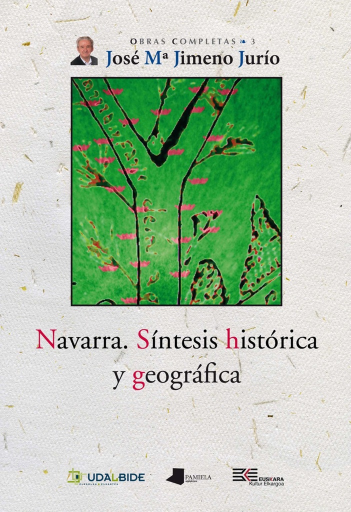 NAVARRA. SINTESIS HISTORICA Y GEOGRAFICA