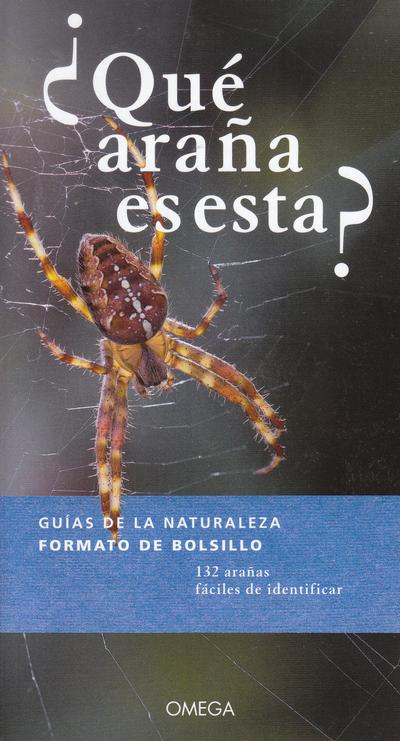 ¿QUÉ ARAÑA ES ESTA?