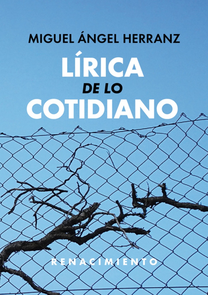 LÍRICA DE LO COTIDIANO