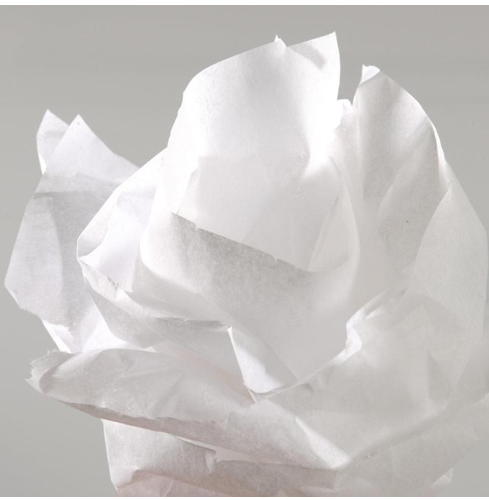 [C200992659] ROLLO PAPEL SEDA 50X500CM 20G BLANCO CANSON