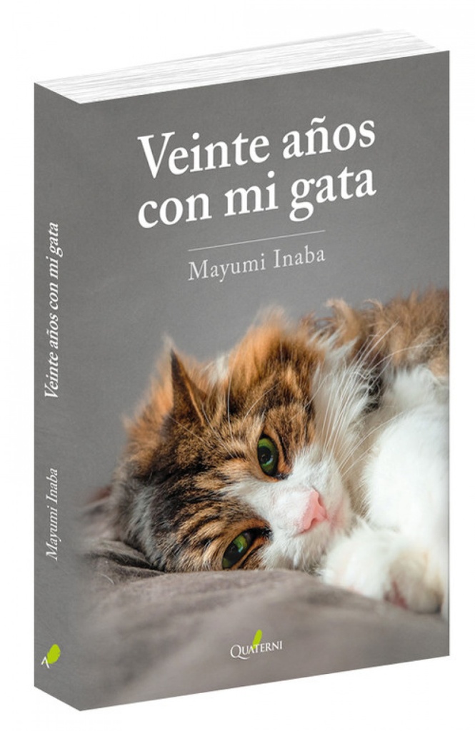 VEINTE AÑOS SIN MI GATA