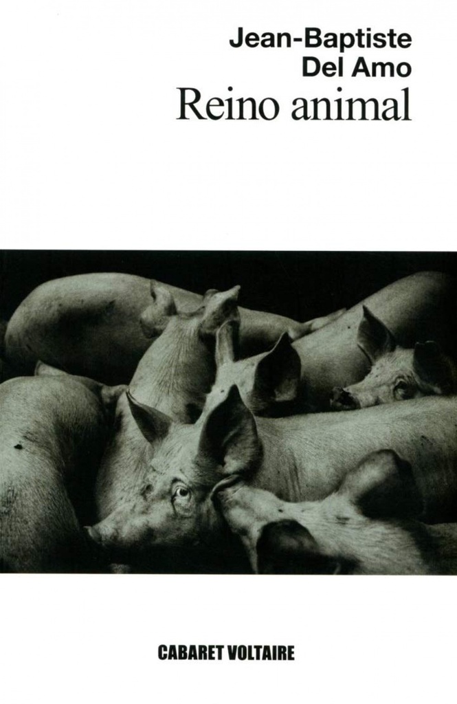 Reino animal