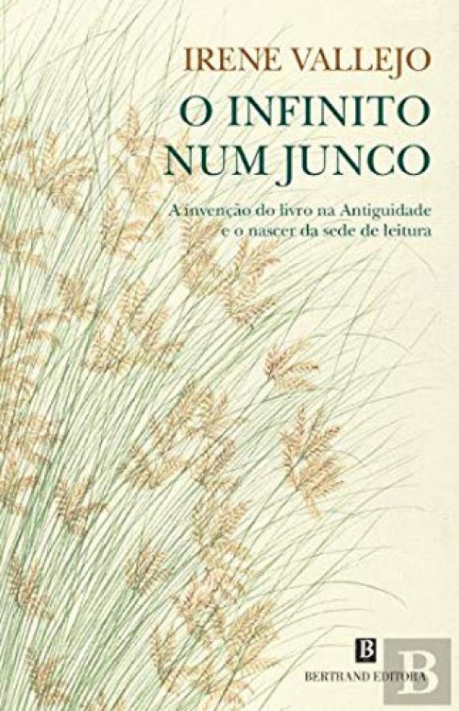 O Infinito num Junco