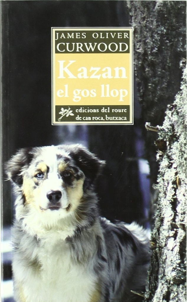 Kazan, el gos llop