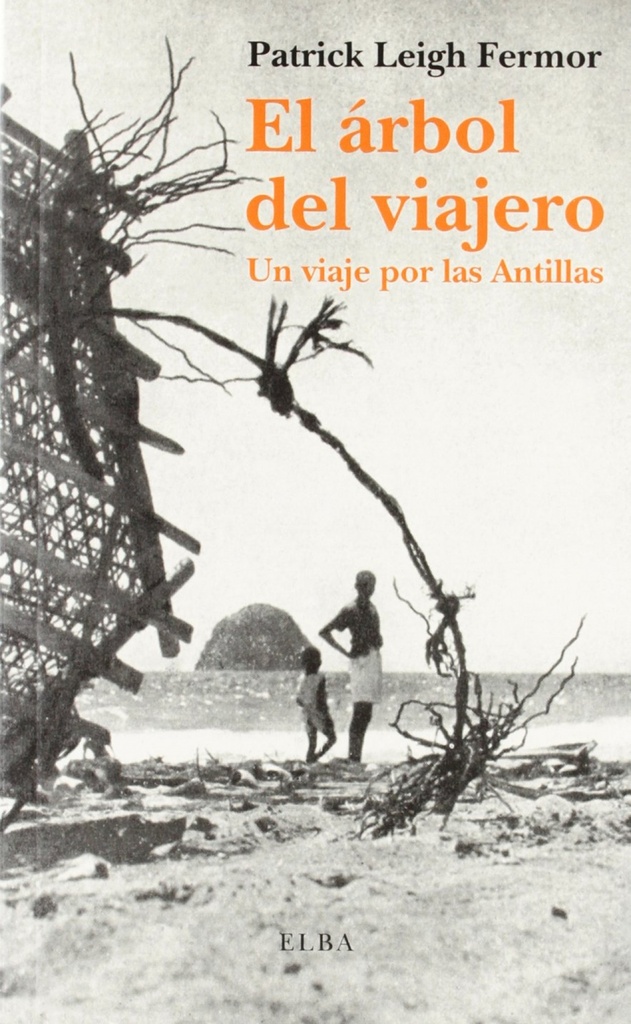 EL ARBOL DEL VIAJERO