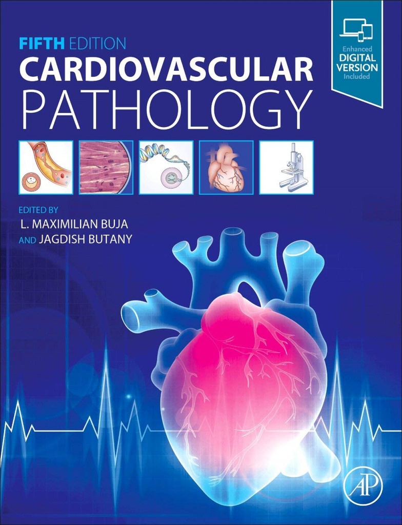 Cardiovascular pathology