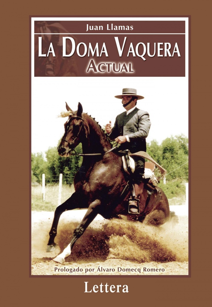 La doma vaquera actual