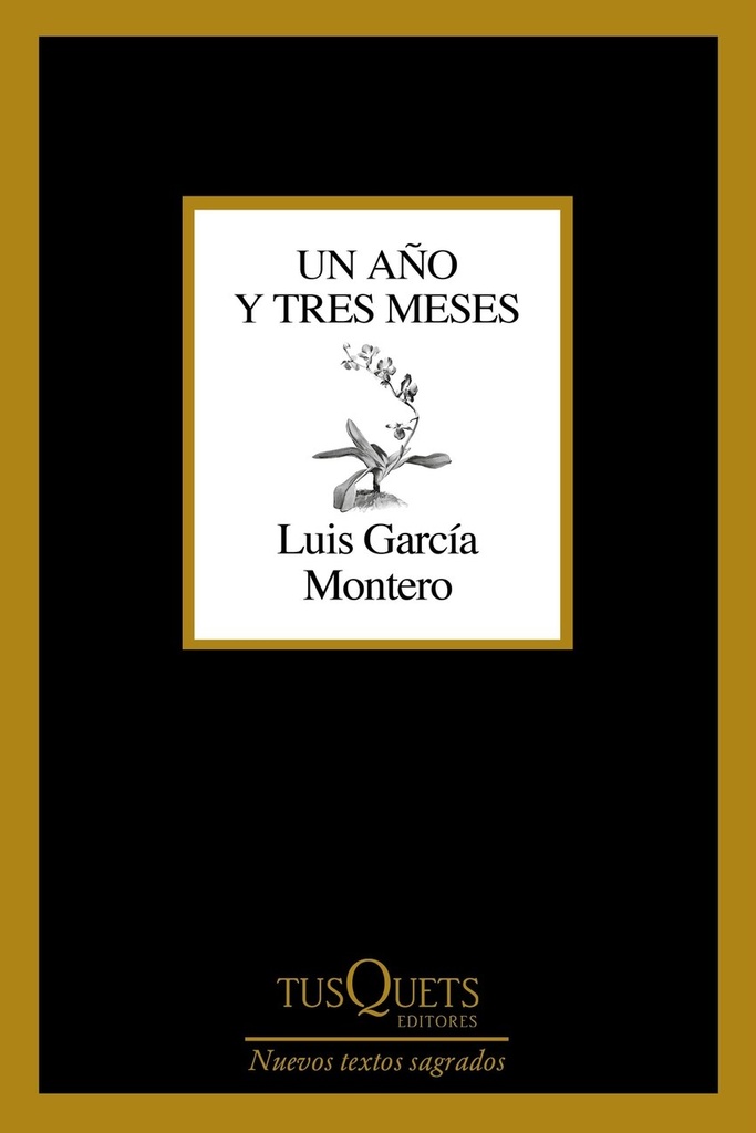 Un año y tres meses