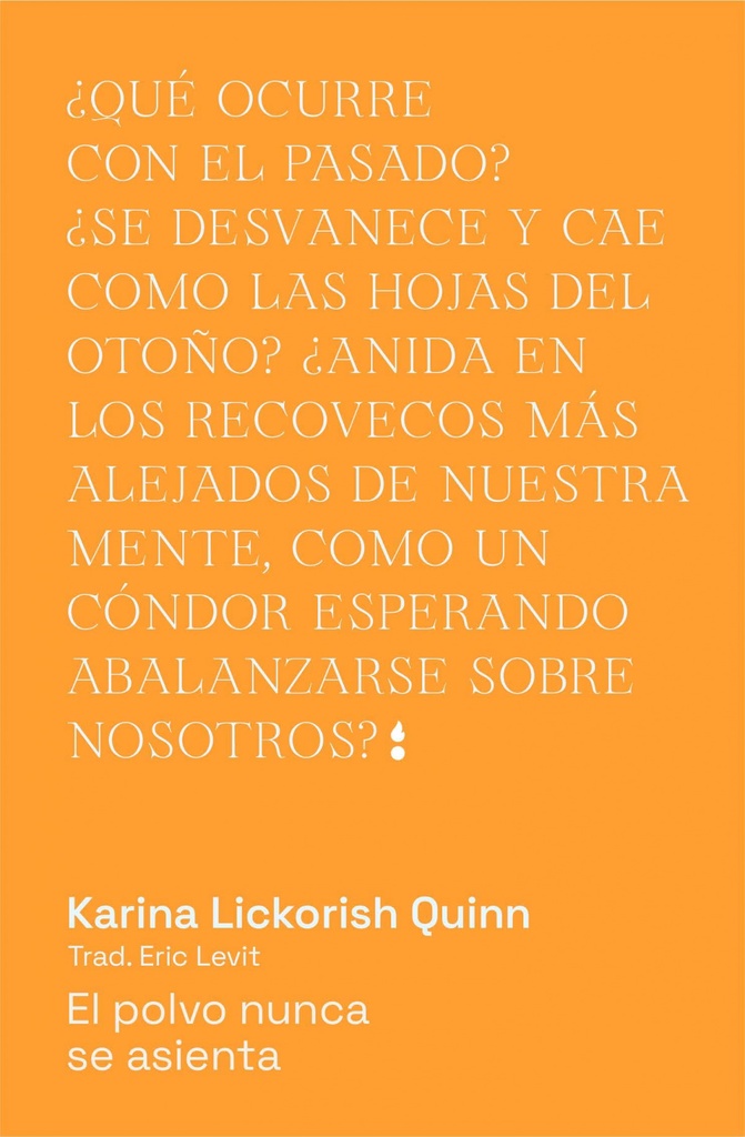 El polvo nunca se asienta
