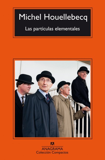 Las partículas elementales