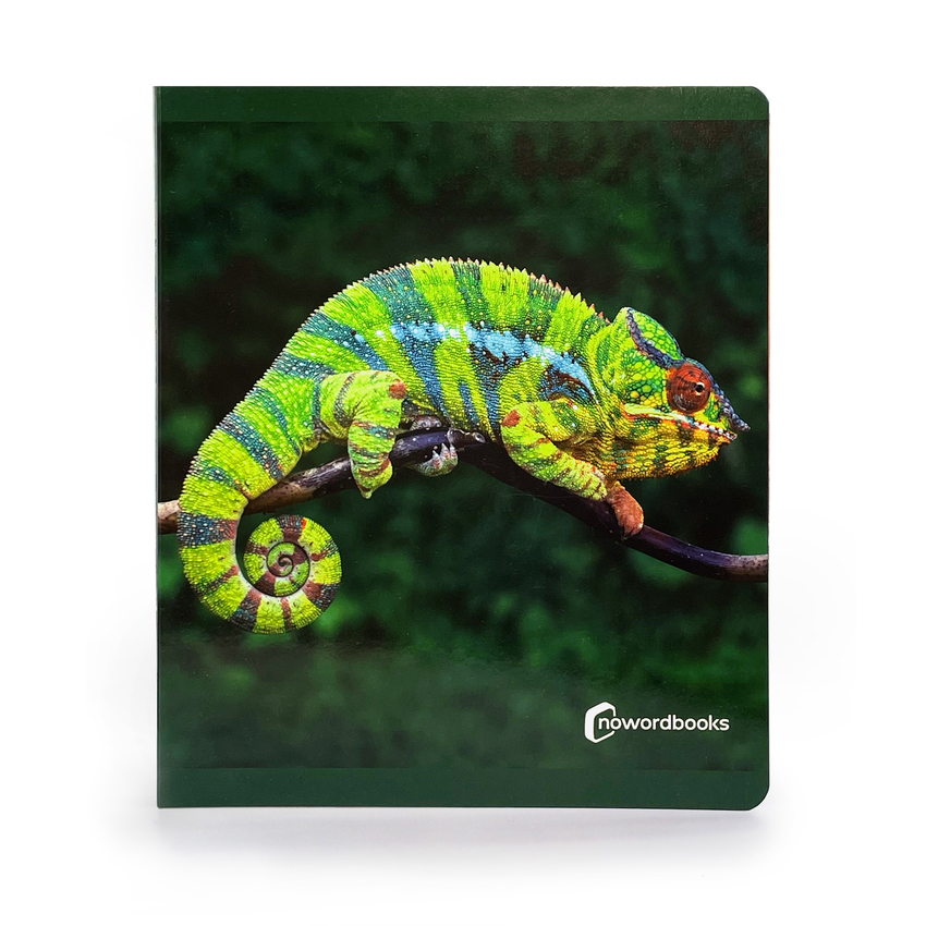 ANIMALES DE LA SELVA