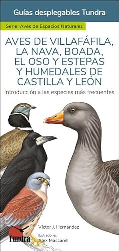 Aves de villafafila,la nva, boada,el oso y estepas