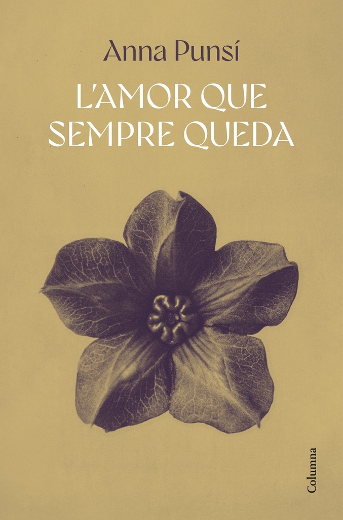 L'amor que sempre queda