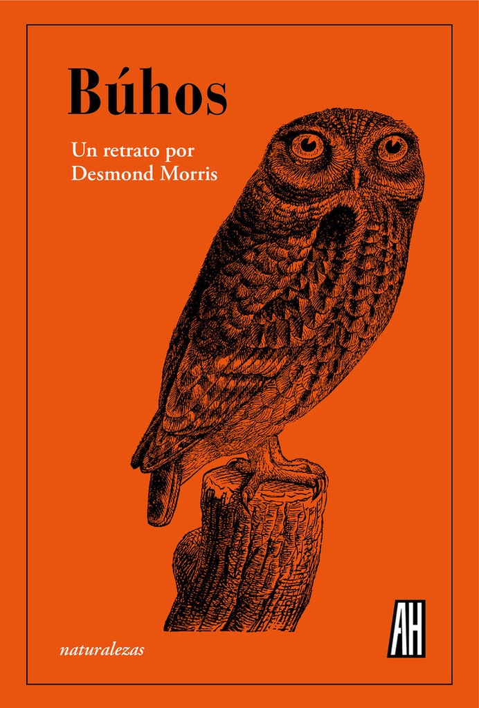 Buhos