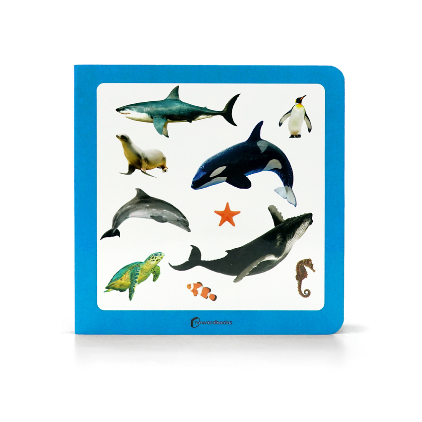 2.ANIMALES MARINOS