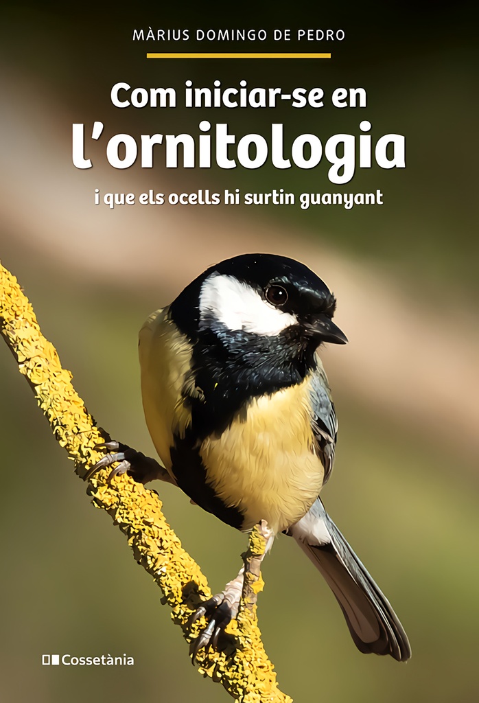 Com iniciar-se en l'ornitologia