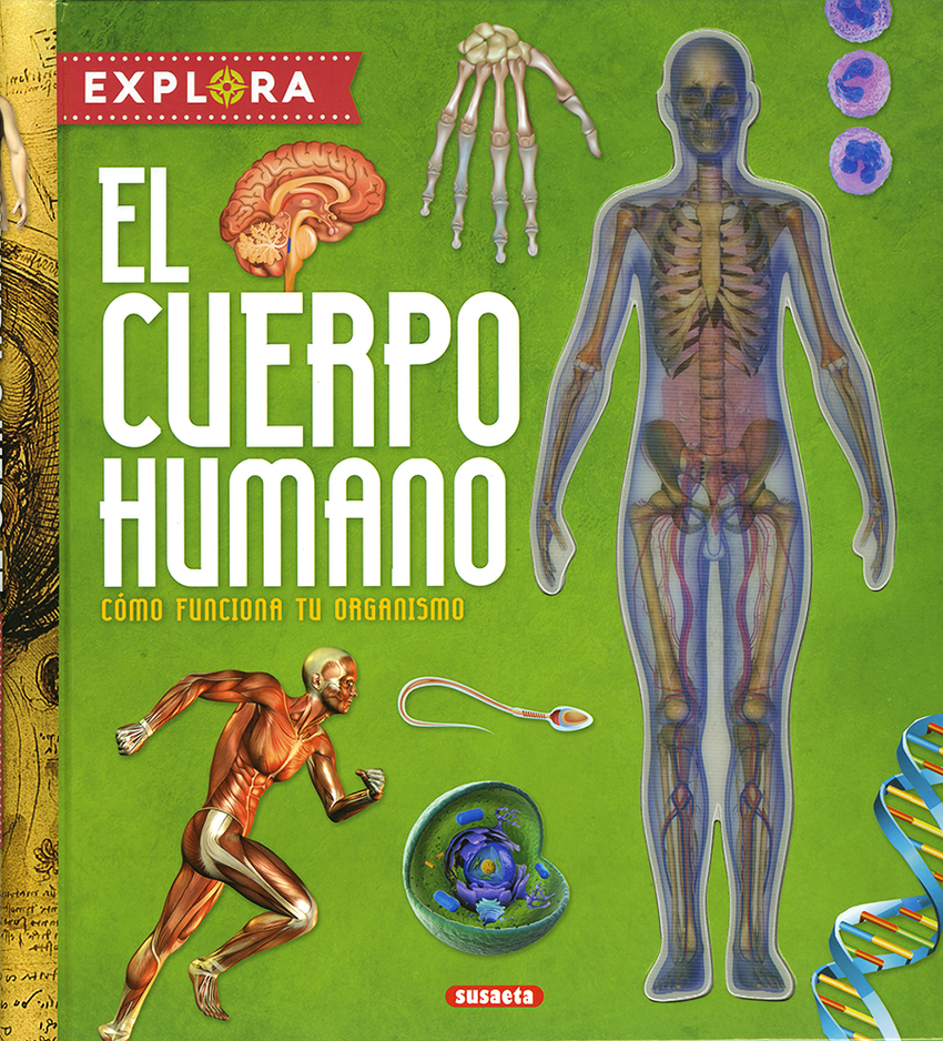 El cuerpo humano