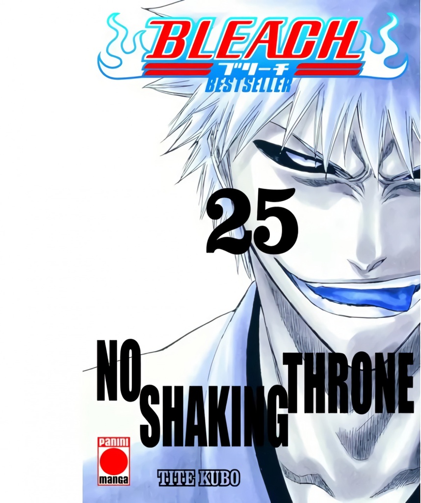 BLEACH BESTSELLER 25