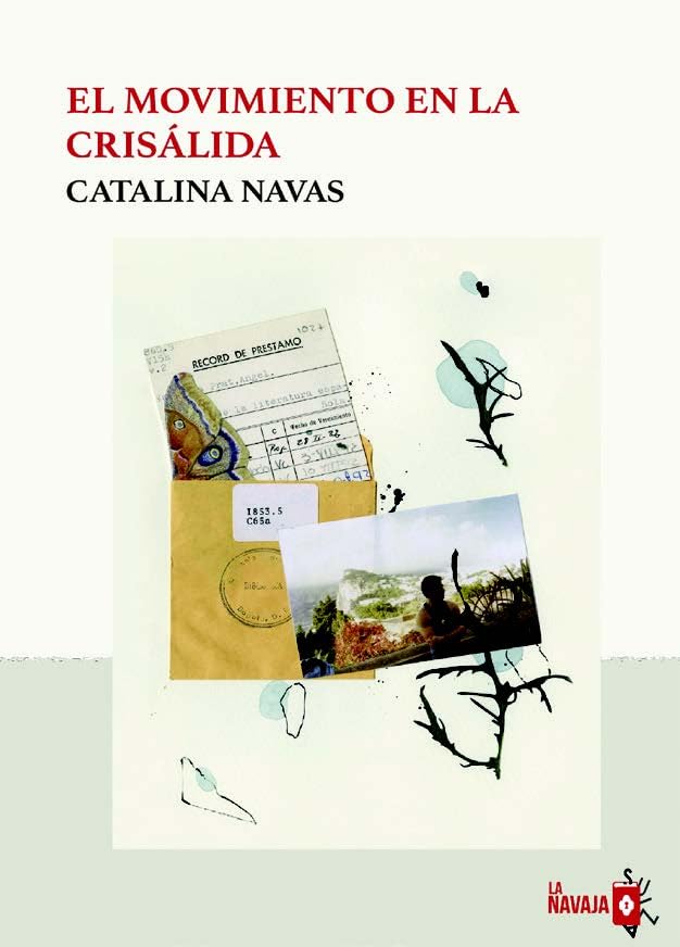 El movimiento en la crisálida
