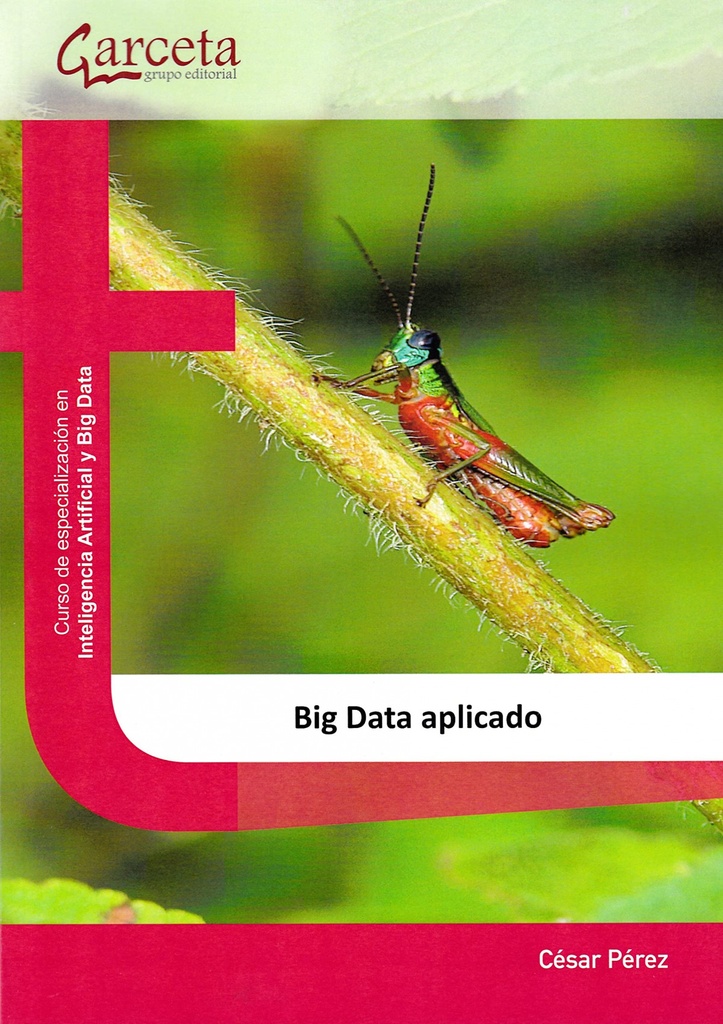 BIG DATA APLICADO