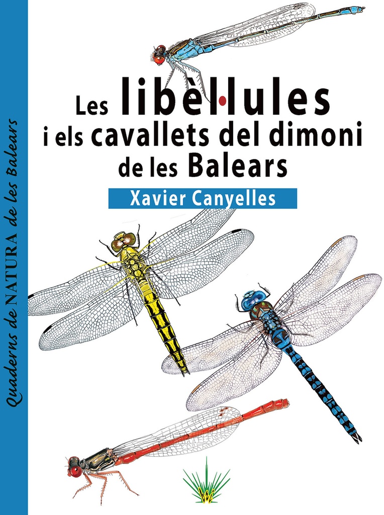 Les libèl·lules i els cavallets del dimoni de les Balears