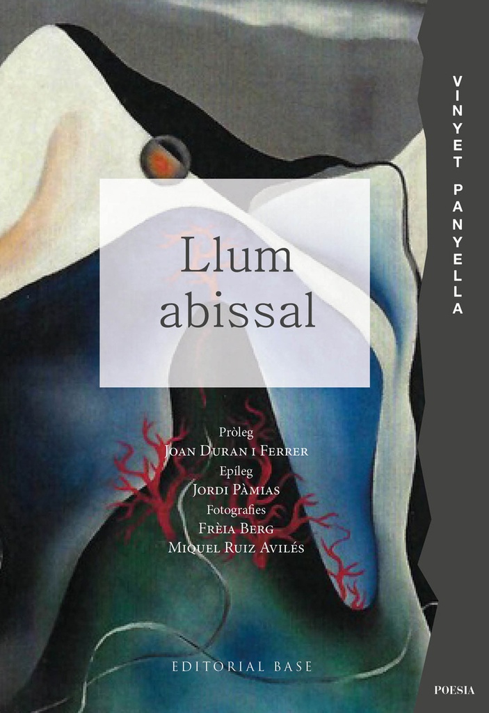 Llum abissal
