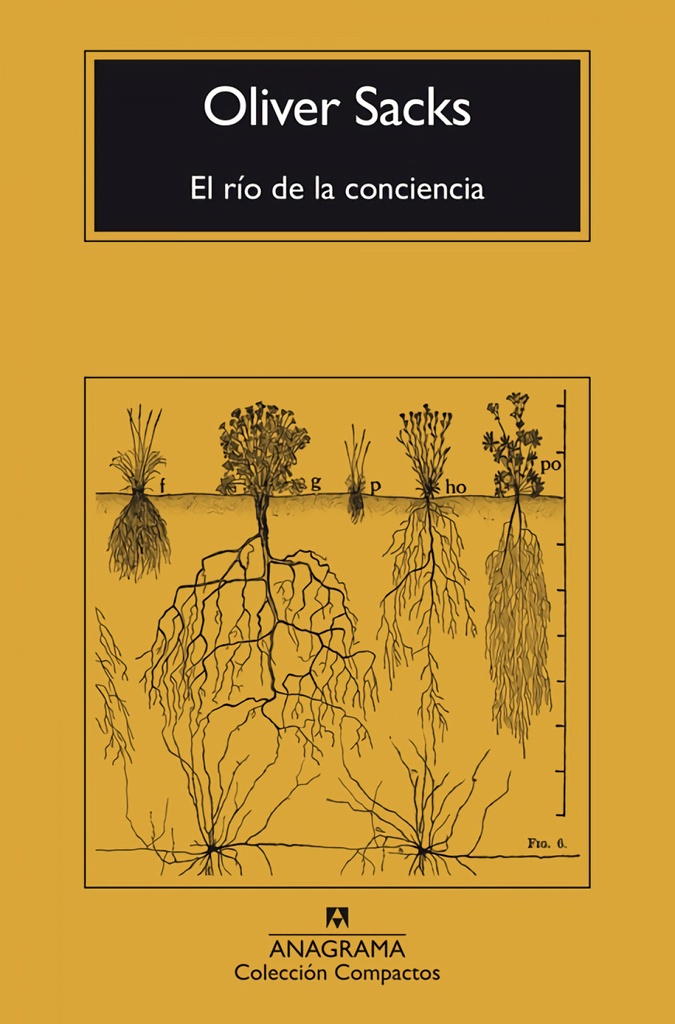EL RÍO DE LA CONCIENCIA