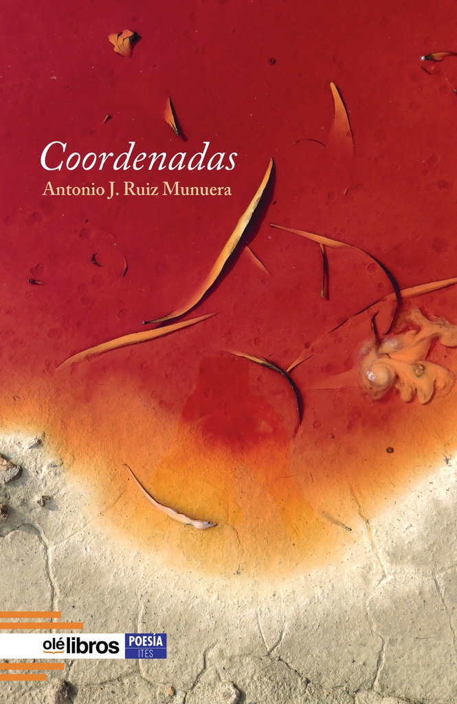 Coordenadas