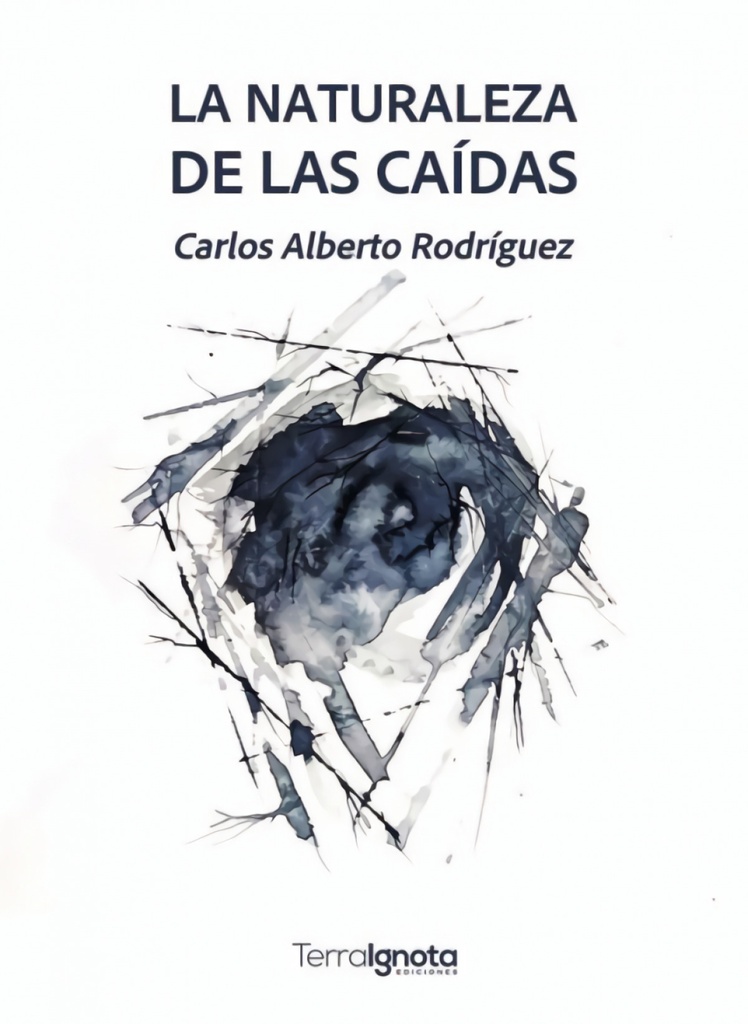 NATURALEZA DE LAS CAIDAS, LA