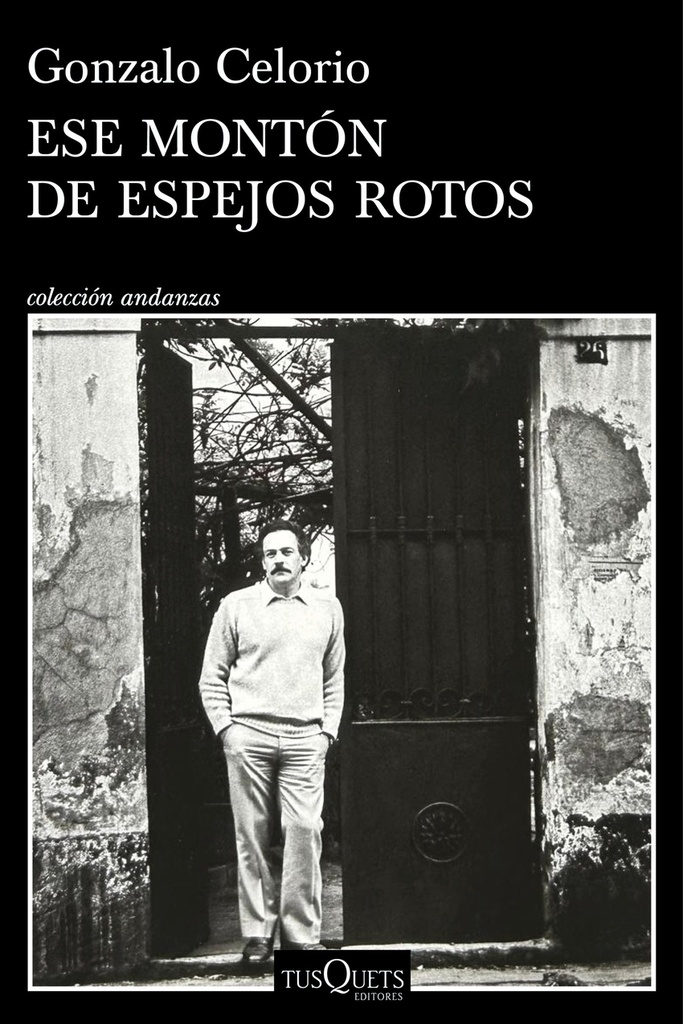 Ese montón de espejos rotos