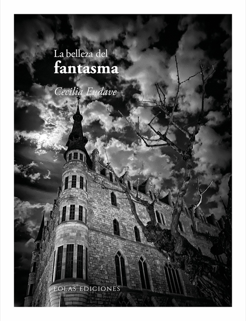 La belleza del fantasma