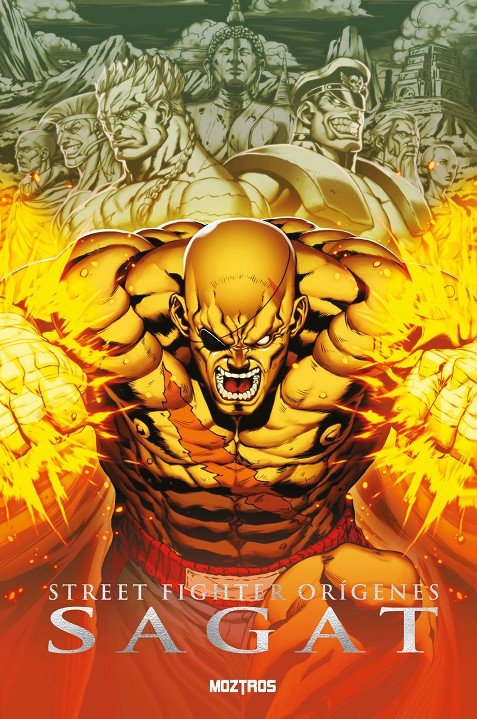 STREET FIGHTER ORIGENES SAGAT