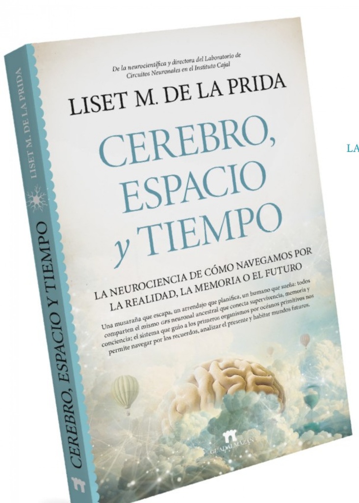 CEREBRO, ESPACIO Y TIEMPO
