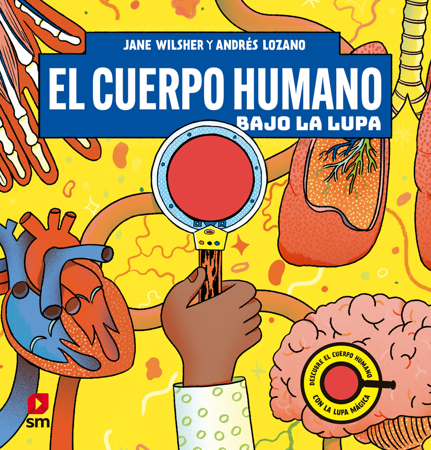 El cuerpo humano bajo la lupa