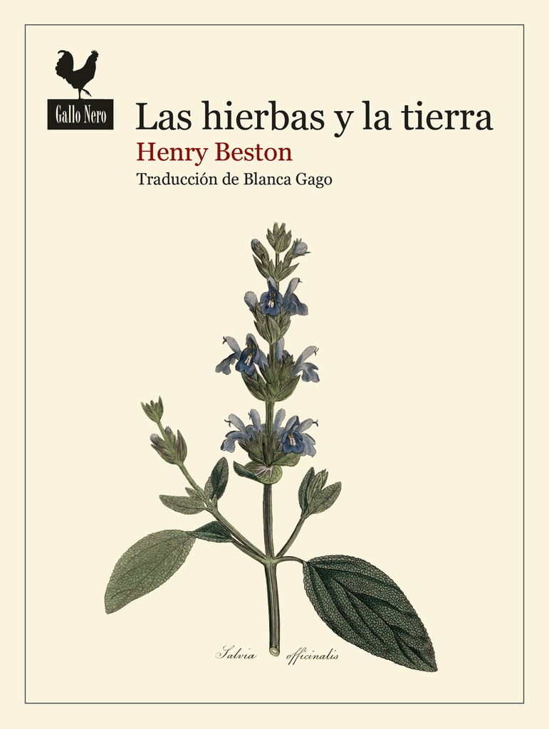 Las hierbas y la tierra