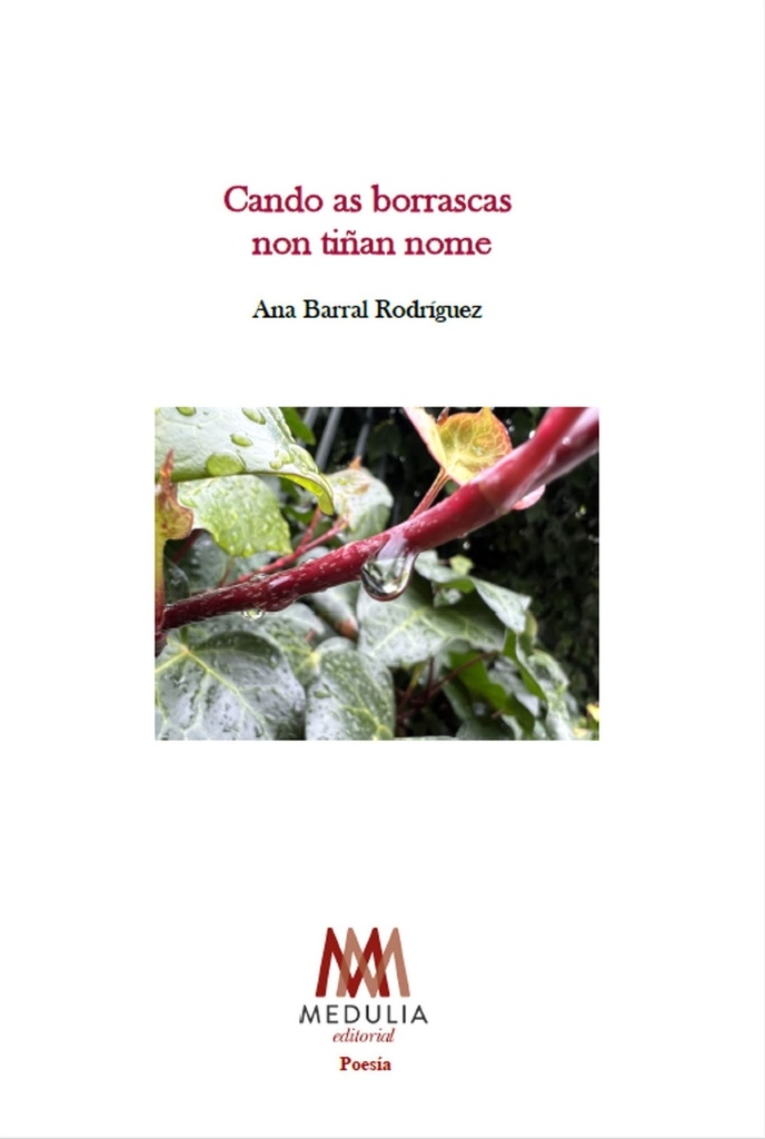 CANDO AS BORRASCAS NON TIÑAN NOME