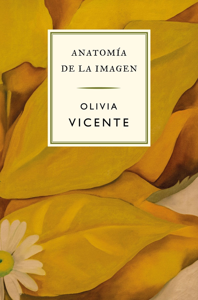Anatomía de la imagen