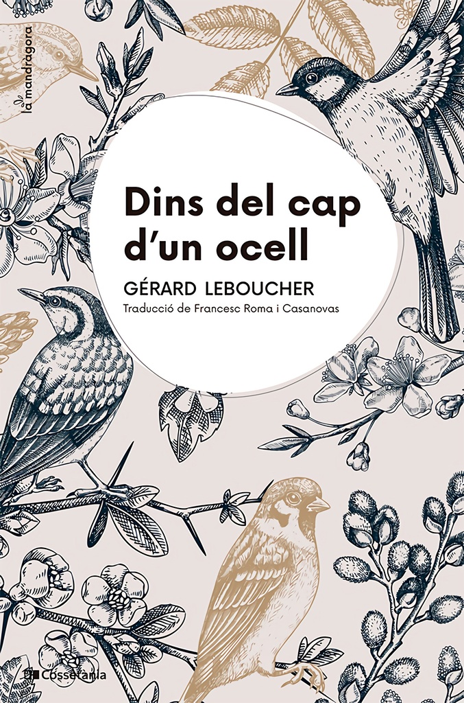Dins del cap d'un ocell