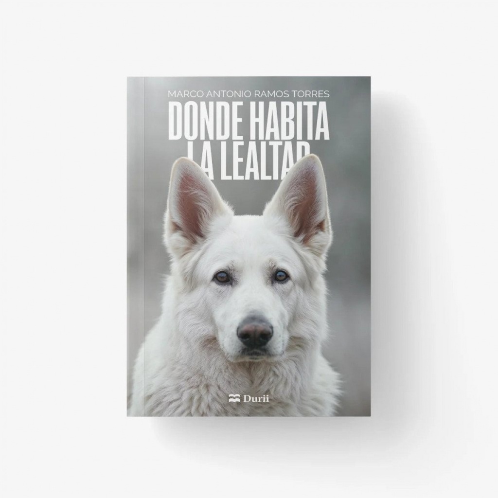 Donde habita la lealtad