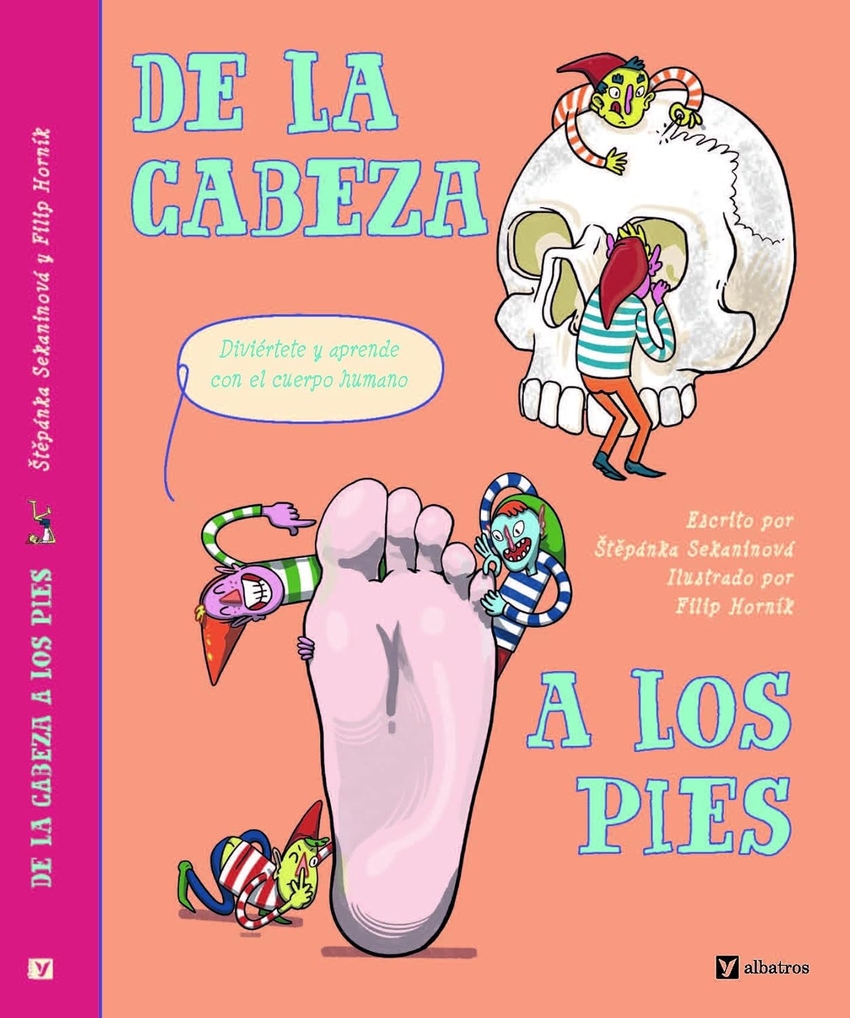 DE LA CABEZA A LOS PIES