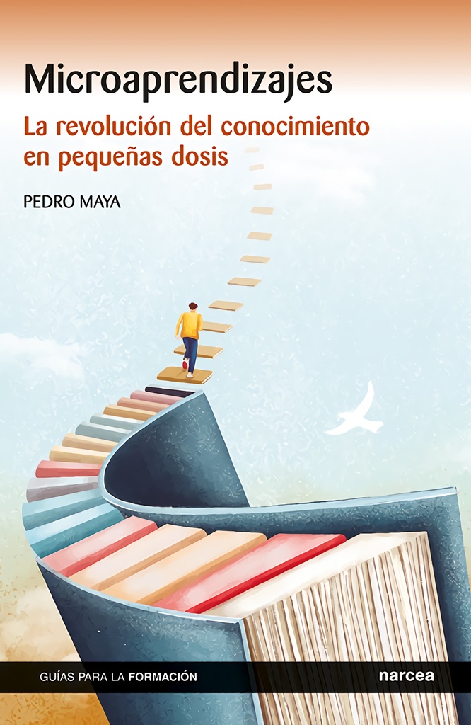 Microaprendizajes