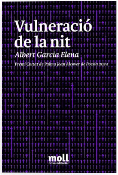 Vulneració de la nit