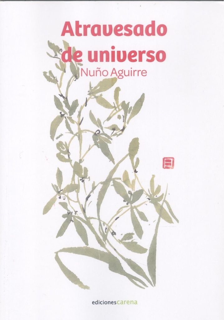 Atravesado de universo