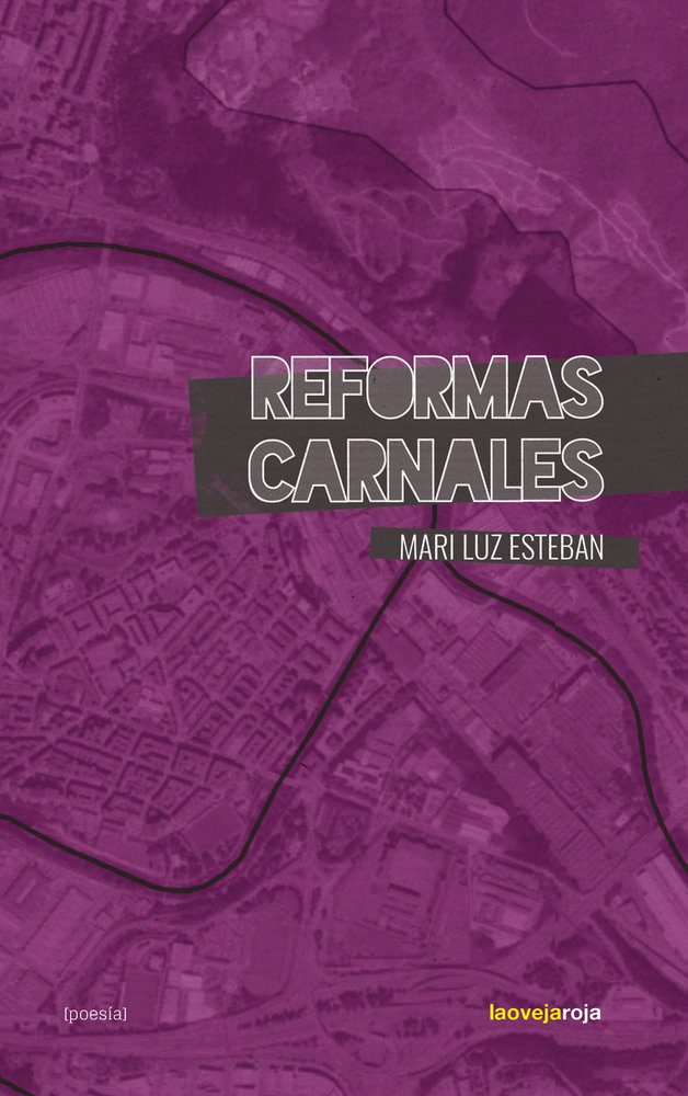REFORMAS CARNALES